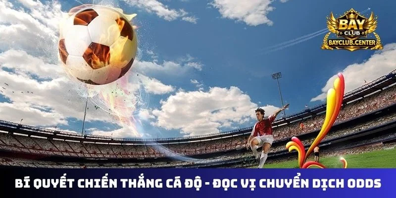 Bí quyết chiến thắng cá độ - Đọc vị chuyển dịch odds
