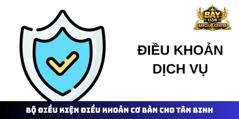 Bộ điều kiện điều khoản cơ bản cho tân binh
