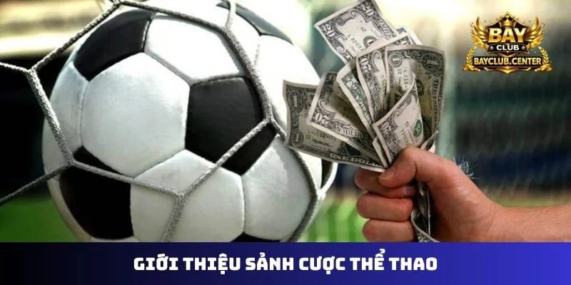 Giới thiệu sảnh cược thể thao