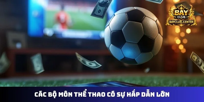 Các bộ môn thể thao có sự hấp dẫn lớn